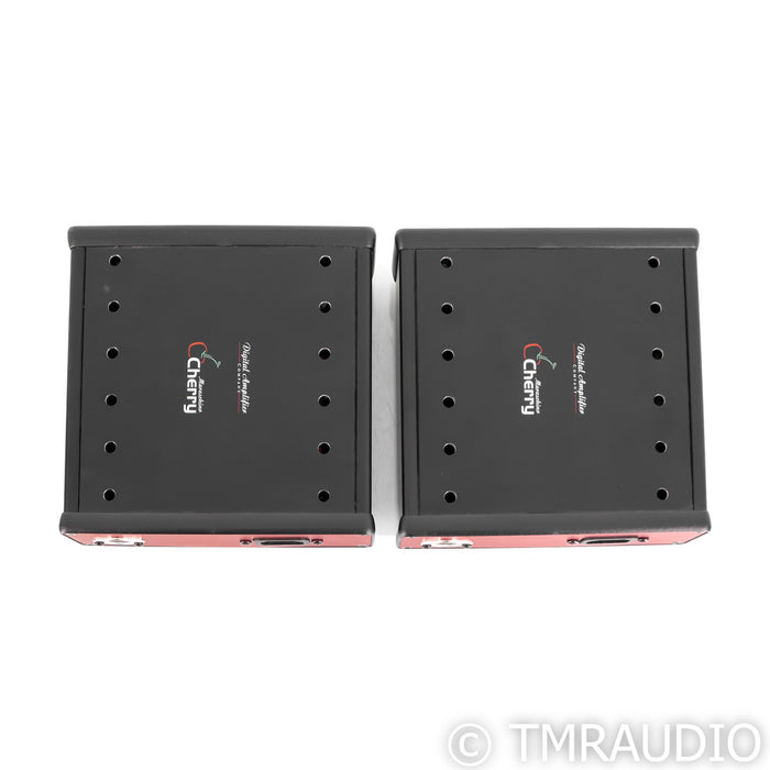 Digital Amplifier Company Maraschino Cherry Monoblock Amplifiers; Pair