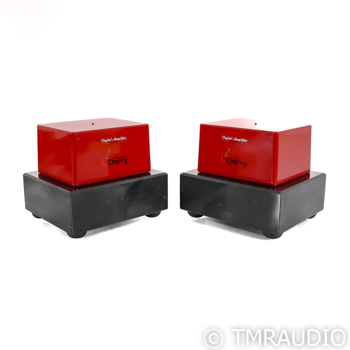 Digital Amplifier Company Maraschino Cherry Monoblock Amplifiers; Pair