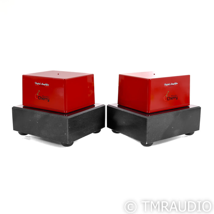 Digital Amplifier Company Maraschino Cherry Monoblock Amplifiers; Pair