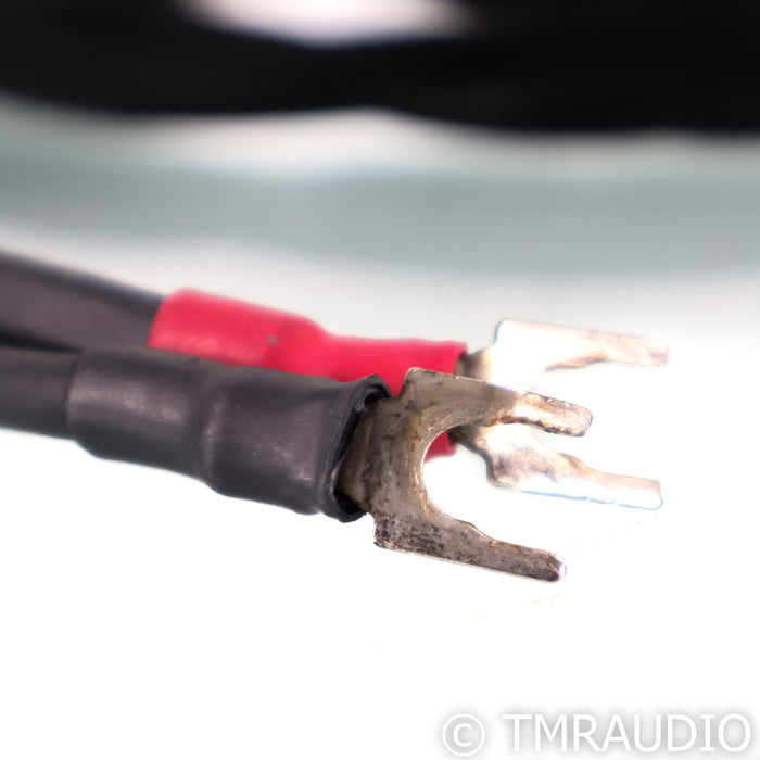Synergistic Research Element Tungsten Speaker Cable