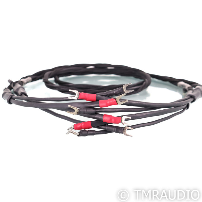 Synergistic Research Element Tungsten Speaker Cable