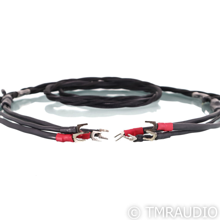 Synergistic Research Element Tungsten Speaker Cable
