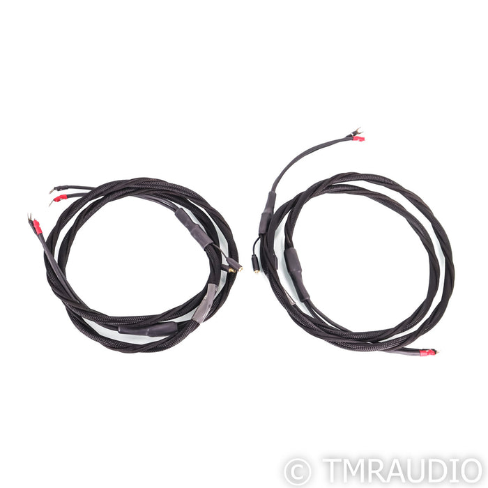 Synergistic Research Element Tungsten Speaker Cable