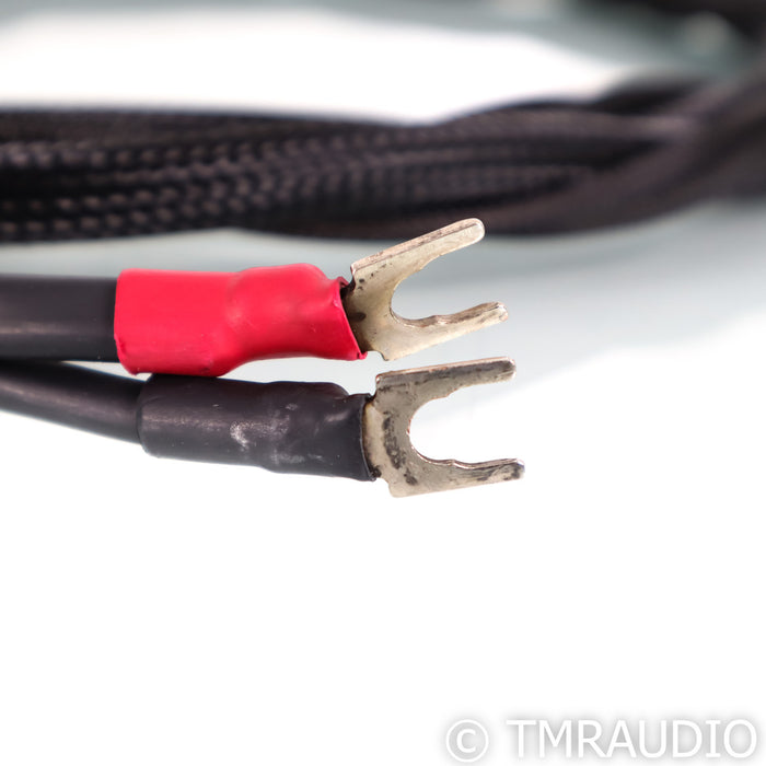 Synergistic Research Element Tungsten Speaker Cable