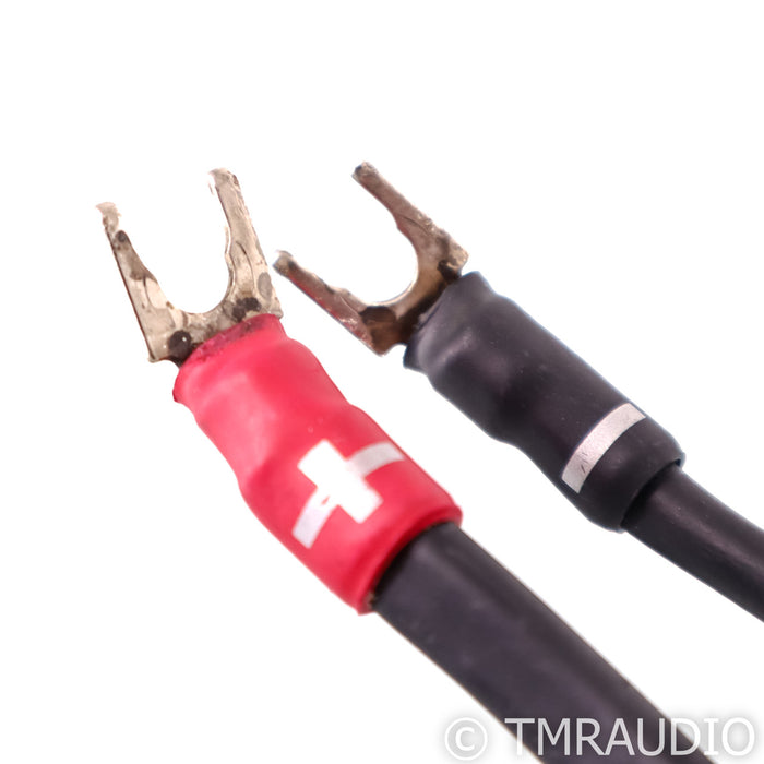 Synergistic Research Element Tungsten Speaker Cables; 8ft Pair; 30V MPC