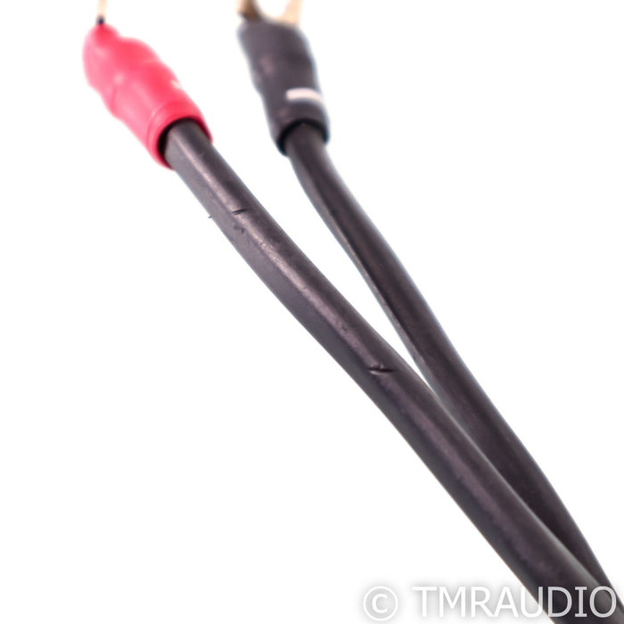 Synergistic Research Element Tungsten Speaker Cables; 8ft Pair; 30V MPC
