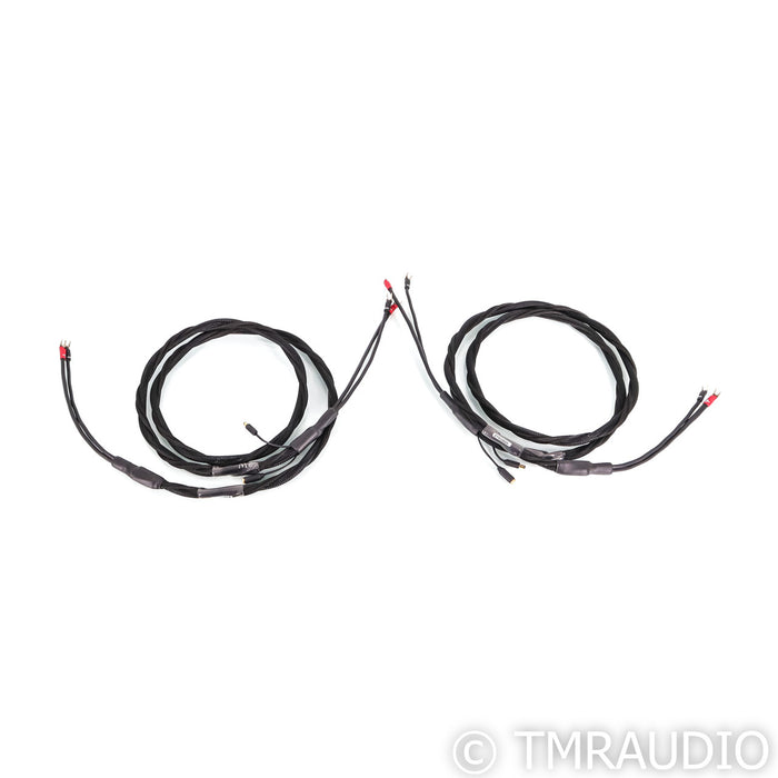 Synergistic Research Element Tungsten Speaker Cables; 8ft Pair; 30V MPC