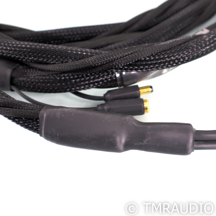 Synergistic Research Element Tungsten Speaker Cables; 8ft Pair; 30V MPC