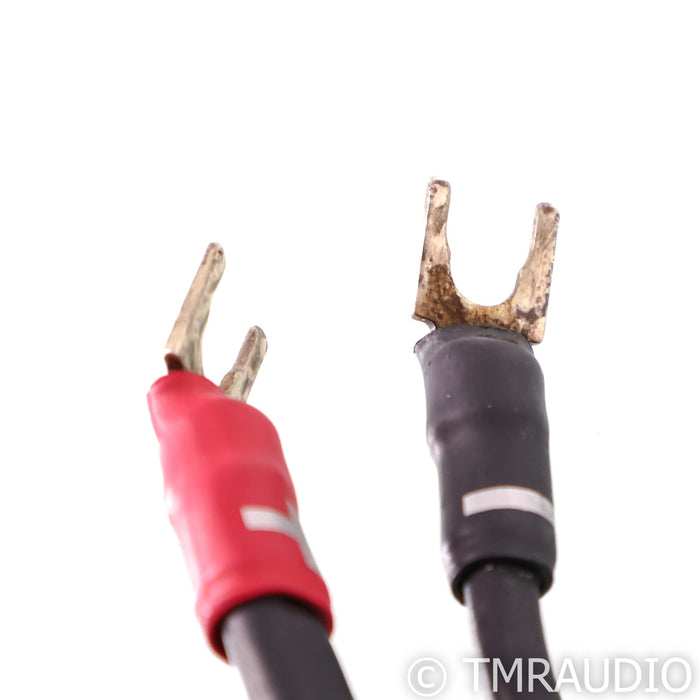 Synergistic Research Element Tungsten Speaker Cables; 8ft Pair; 30V MPC