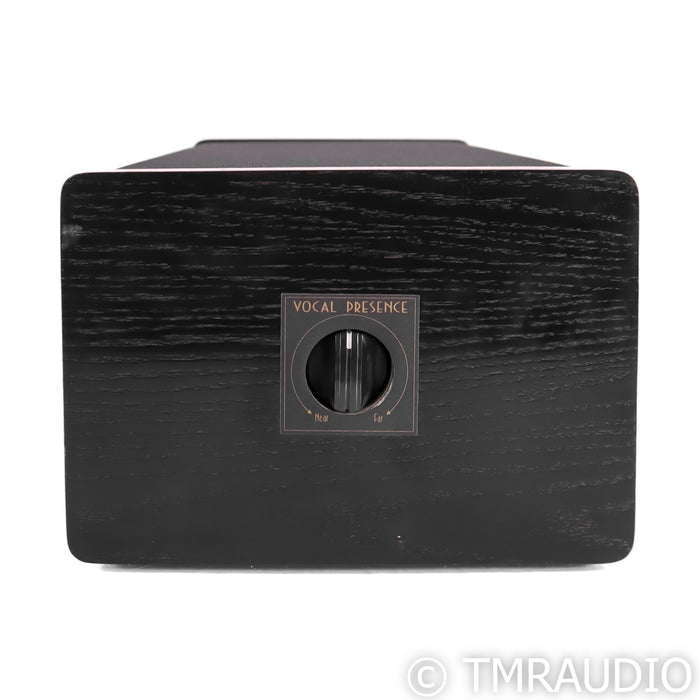 Virtual Reality Theatre LCR-20 Center Channel Speaker