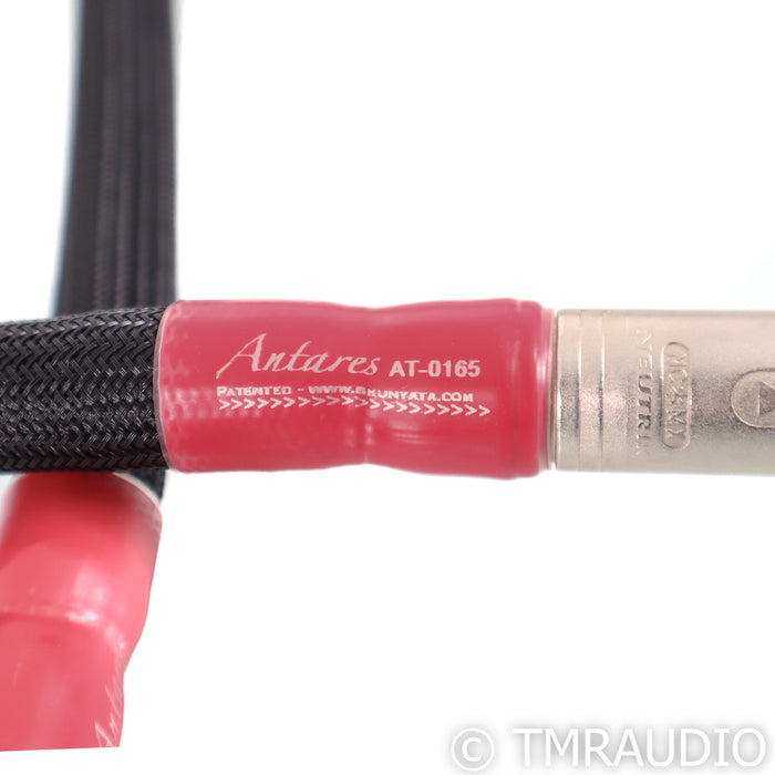 Shunyata Research Antares XLR Cables; 1m Pair Balanced Interconnect