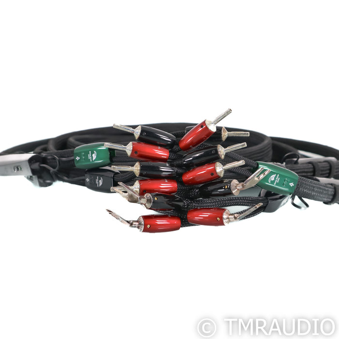 AudioQuest Robin Hood Bi-Wire Speaker Cables; 8ft Pair; ZERO + BASS; 72v DBS