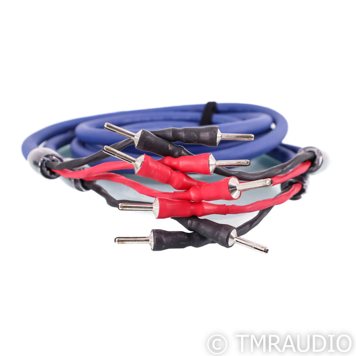 Cardas Clear Cygnus Speaker Cables; 2.5m Pair