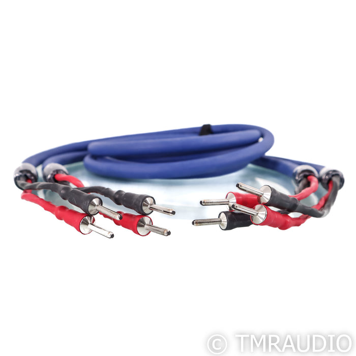 Cardas Clear Cygnus Speaker Cables; 2.5m Pair