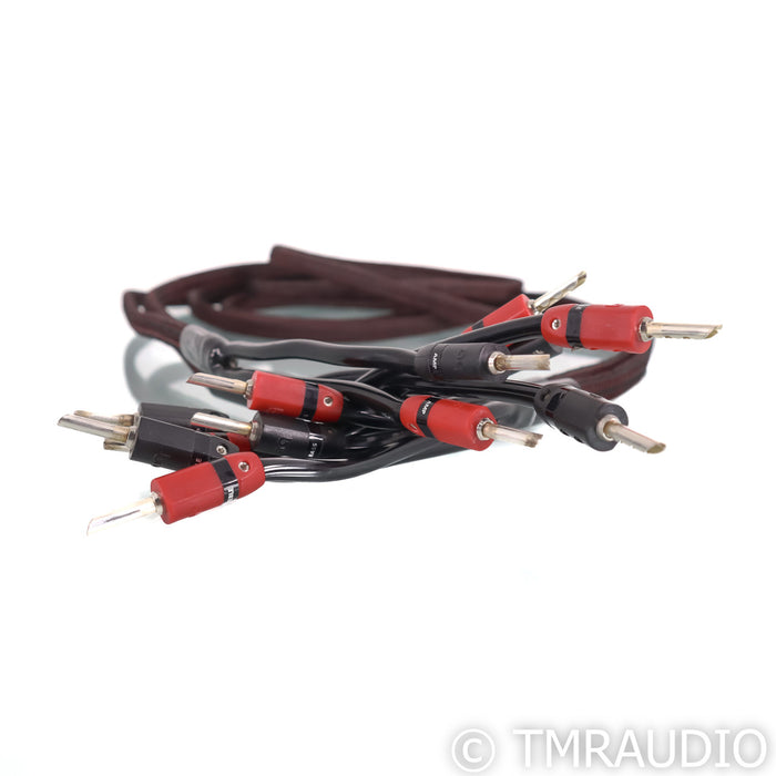 AudioQuest Rocket 33 Bi-Wire Speaker Cables; 8ft Pair
