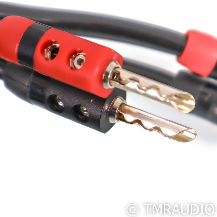 AudioQuest Rocket 33 Bi-Wire Speaker Cables; 8ft Pair