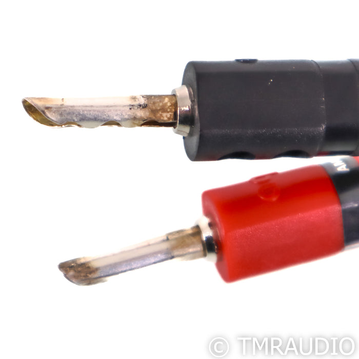 AudioQuest Rocket 33 Bi-Wire Speaker Cables; 8ft Pair