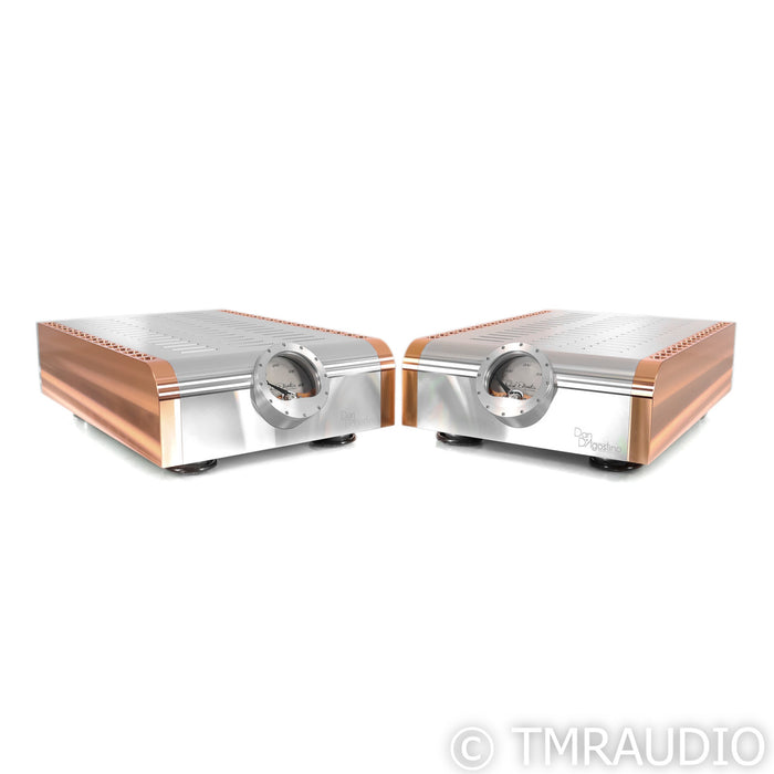 Dan D' Agostino Momentum M400 Mono Power Amplifiers; Silver Pair