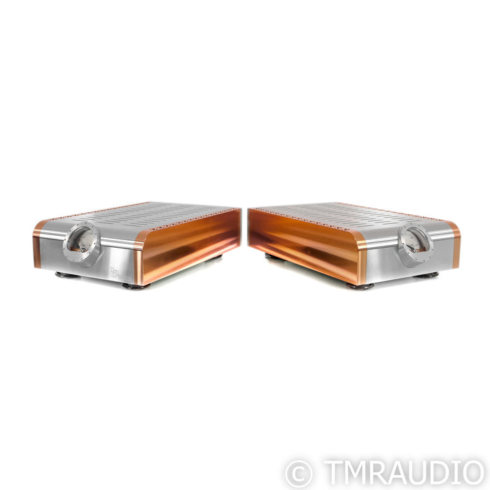 Dan D' Agostino Momentum M400 Mono Power Amplifiers; Silver Pair