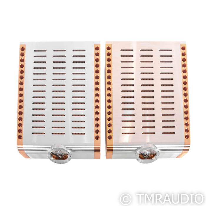 Dan D' Agostino Momentum M400 Mono Power Amplifiers; Silver Pair
