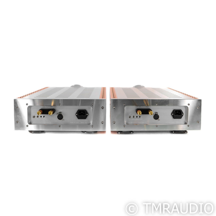 Dan D' Agostino Momentum M400 Mono Power Amplifiers; Silver Pair