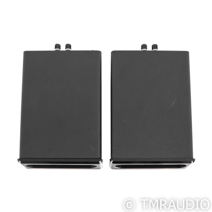 Bel Canto e.One REF600M Mono Power Amplifier; Pair; REF-600M