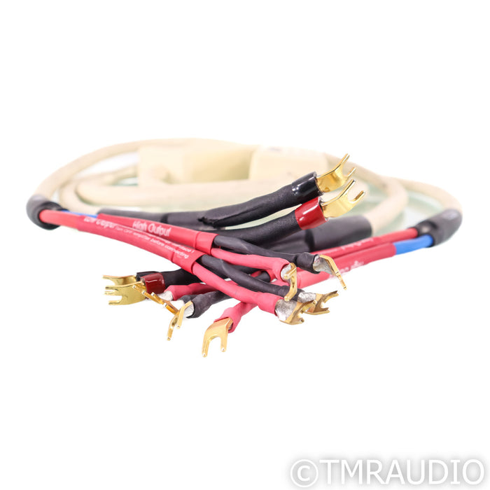 MIT MITerminator2 Bi-Wire Speaker Cable; 8ft Pair