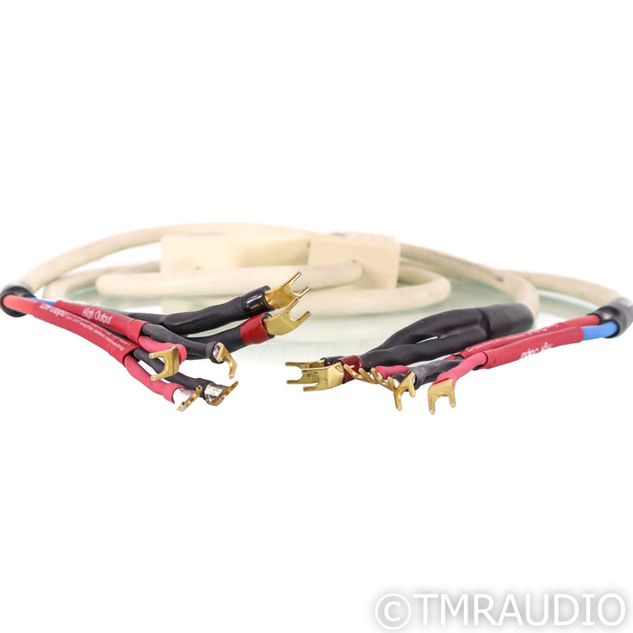 MIT MITerminator2 Bi-Wire Speaker Cable; 8ft Pair