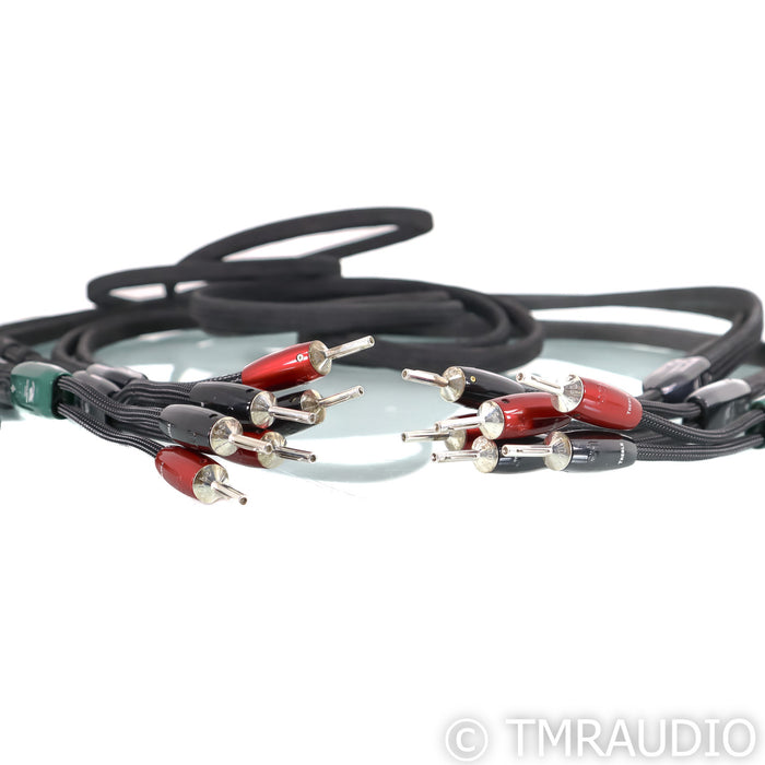 AudioQuest Robin Hood ZERO Bi-Wire Speaker Cables; 9ft Pair