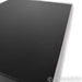 Bel Canto eVo 2 Gen II Power Amplifier; Gen 2