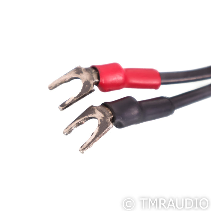 Synergistic Research Tesla Accelerator Speaker Cables; 8ft Pair