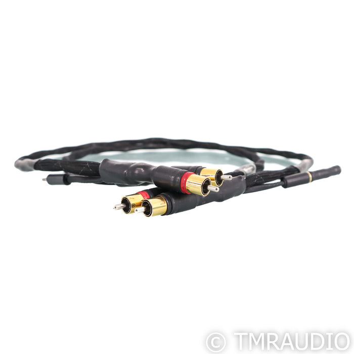Synergistic Research Tesla Accelerator RCA Cables; 1m Pair Interconnects