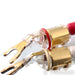 Kimber Kable Monocle XL Speaker Cables; 2.5m Pair Banana to Spade
