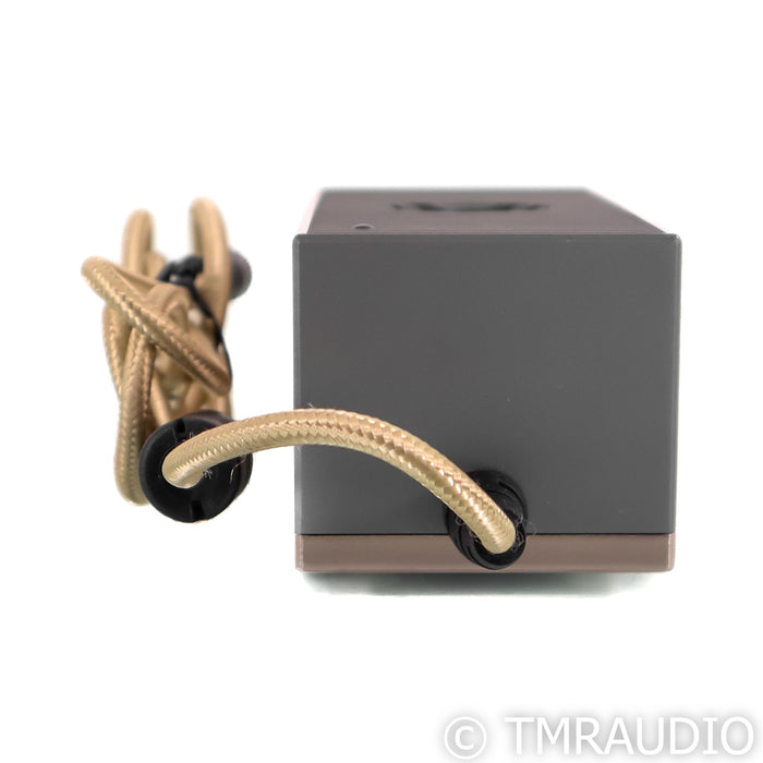 iFi Pro iCAN Signature Tube Headphone Amplifier