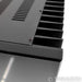 Wells Audio Innamorata Signature Stereo Power Amplifier