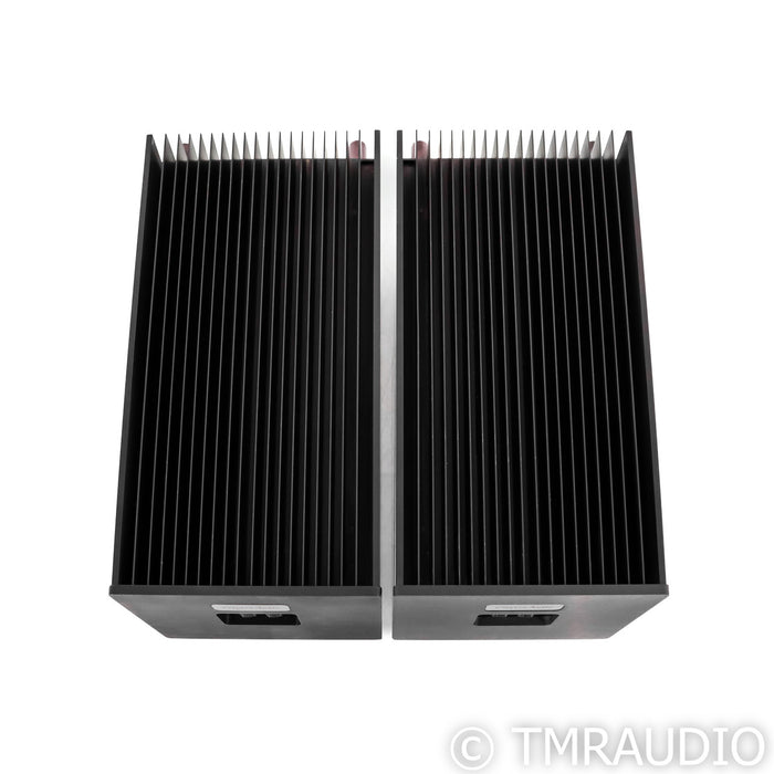 Clayton Audio M100 Mono Power Amplifiers; M-100