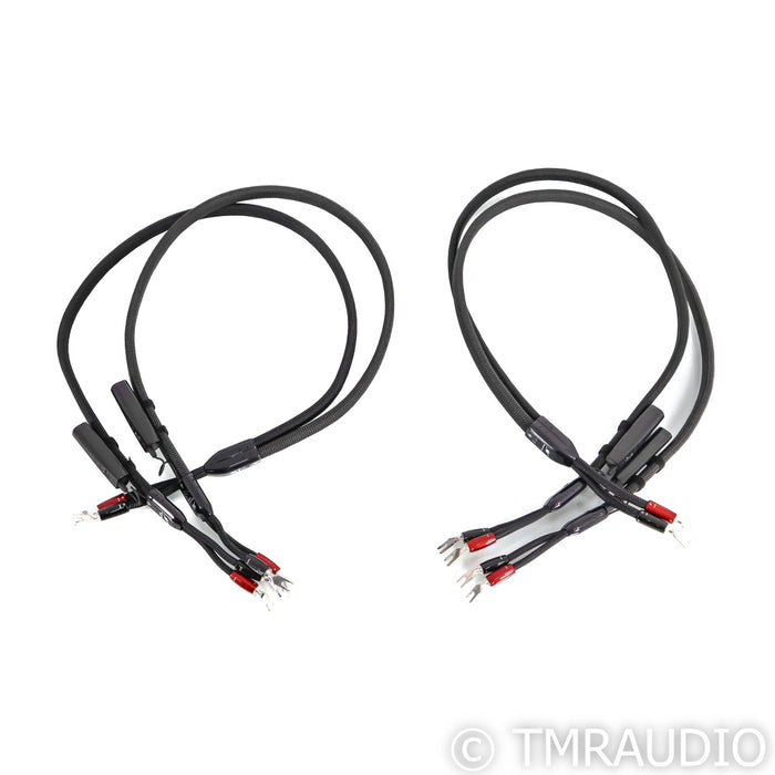 AudioQuest William Tell Silver Bi-Wire Speaker Cable; 5ft Pair Spade; 72v DBS