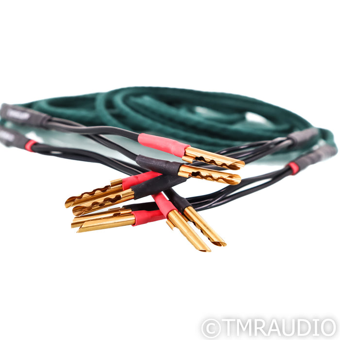 Auditorium 23 Speaker Cables; 2.5m Pair