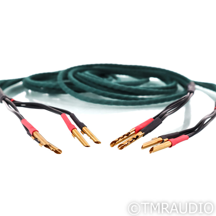 Auditorium 23 Speaker Cables; 2.5m Pair