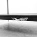 Quadraspire SVT 4 Shelf Isolation Rack; Black