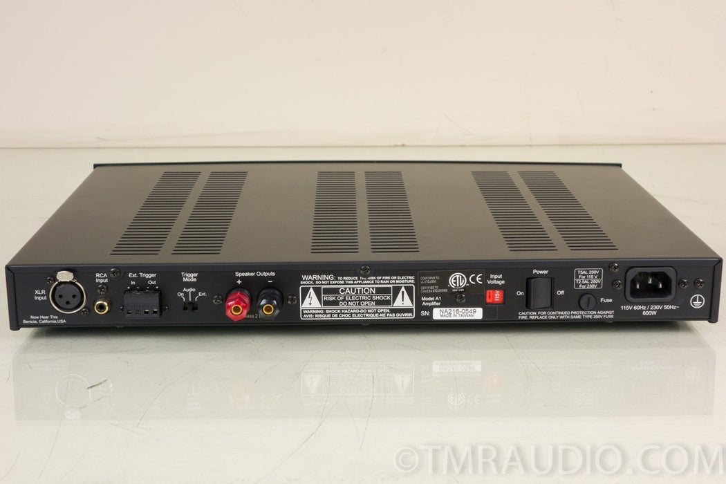 NHT A1 Mono Amplifier