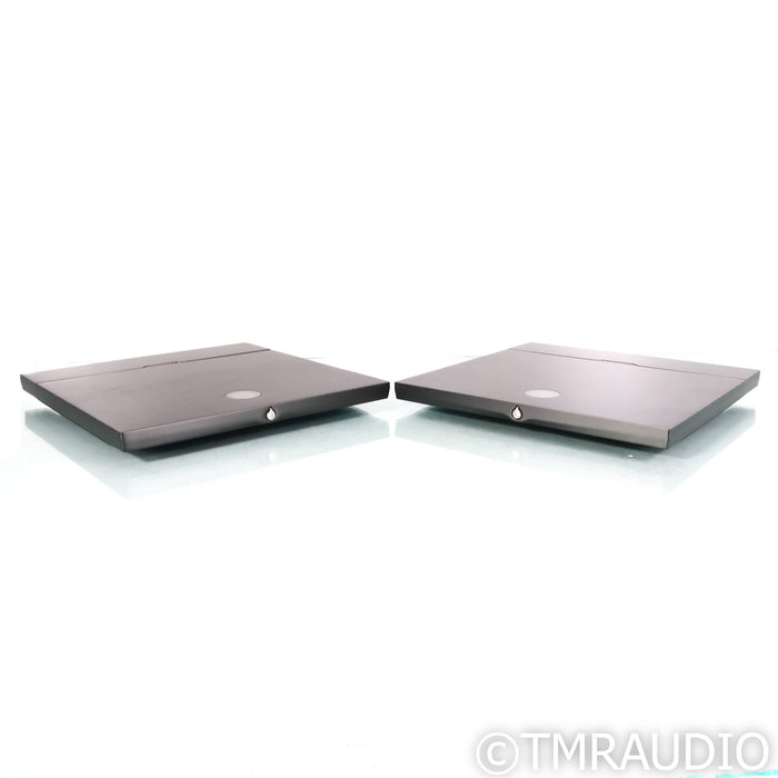 Devialet Expert 440 Pro Mono Integrated Amplifiers; Pair (Open Box)