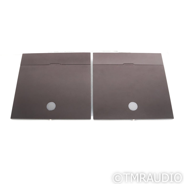 Devialet Expert 440 Pro Mono Integrated Amplifiers; Pair (Open Box)
