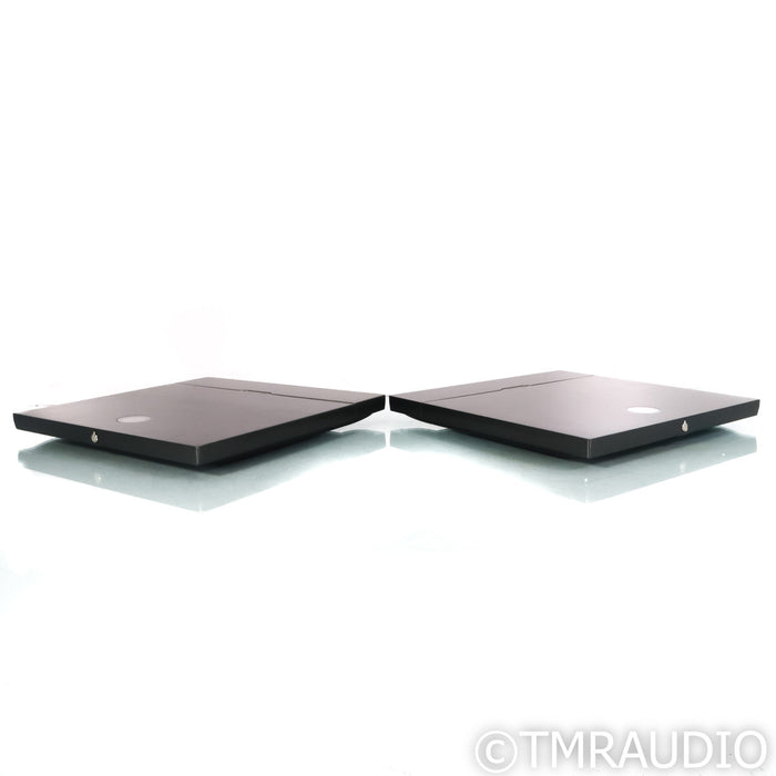 Devialet Expert 440 Pro Mono Integrated Amplifiers; Pair (Open Box)