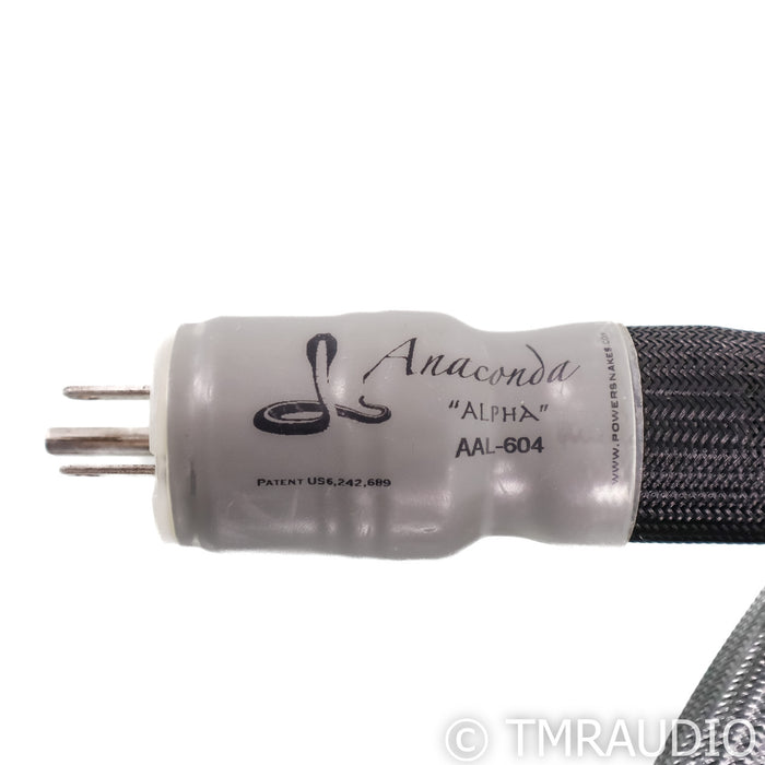 Shunyata Research Anaconda Alpha Power Cable; 2m AC Cord (20 Amp Cable)