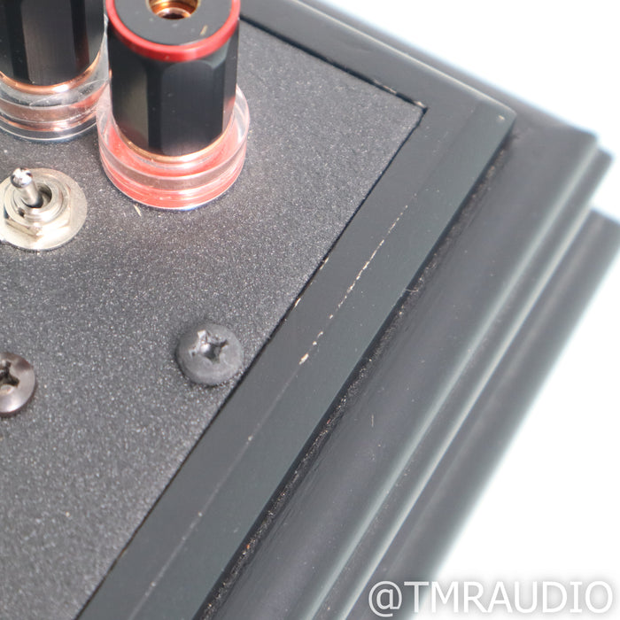 Decware Zen Triode SE34I.6 Stereo Tube Power Amplifier; Headphone Output
