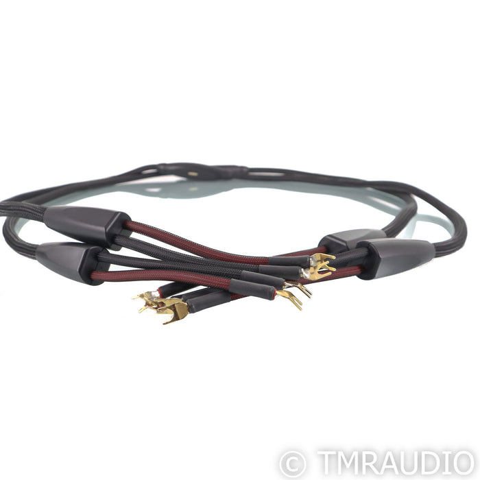 Transparent Audio Generation 5 Plus Speaker Cables; 8ft Pair