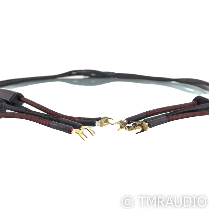 Transparent Audio Generation 5 Plus Speaker Cables; 8ft Pair