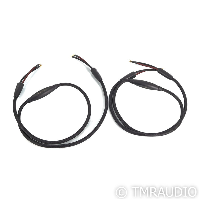 Transparent Audio Generation 5 Plus Speaker Cables; 8ft Pair