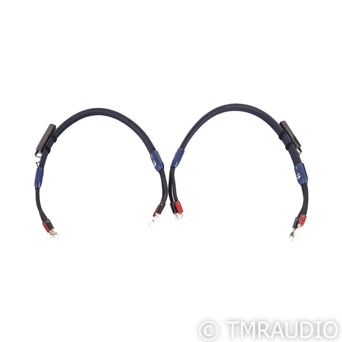 AudioQuet ThunderBird ZERO Speaker Cables; 3ft Pair (Open Box)